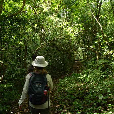 Guided Nature Walks at Kaniyo Pabidi