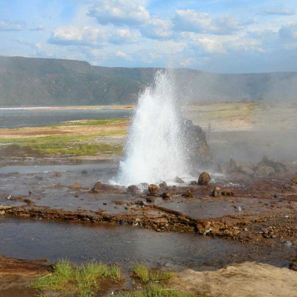 Lake Bogoria