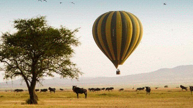 Hot Air Balloon Safari