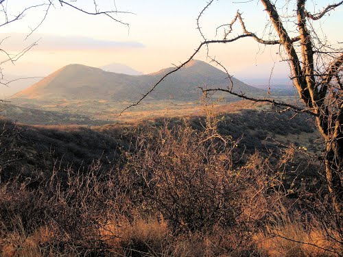 The Poacher’s Lookout (Tsavo West)