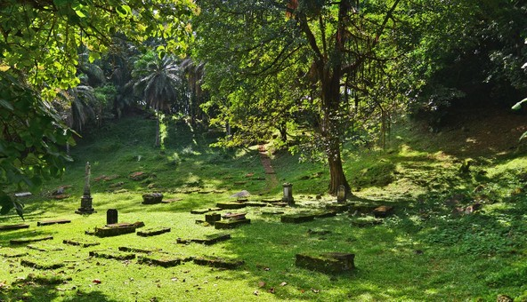 The ecological tour at Mahe Island