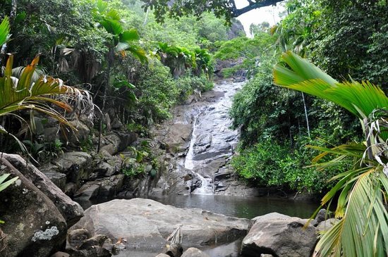 The hiking trails