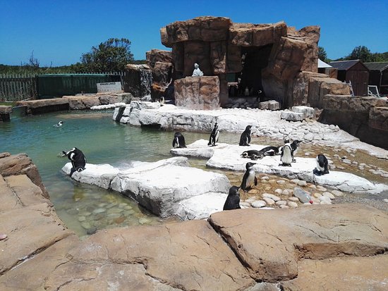 Cape Recife Nature Reserve