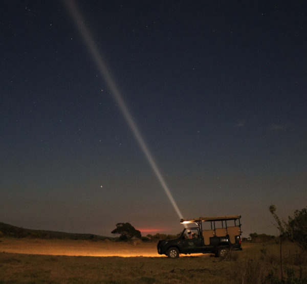 Guided night game drives