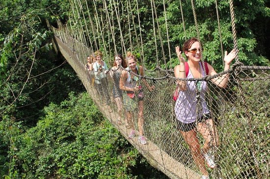 Lake Manyara Treetop Walkway