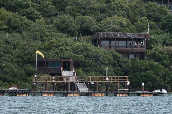 Featherbed Nature Reserve