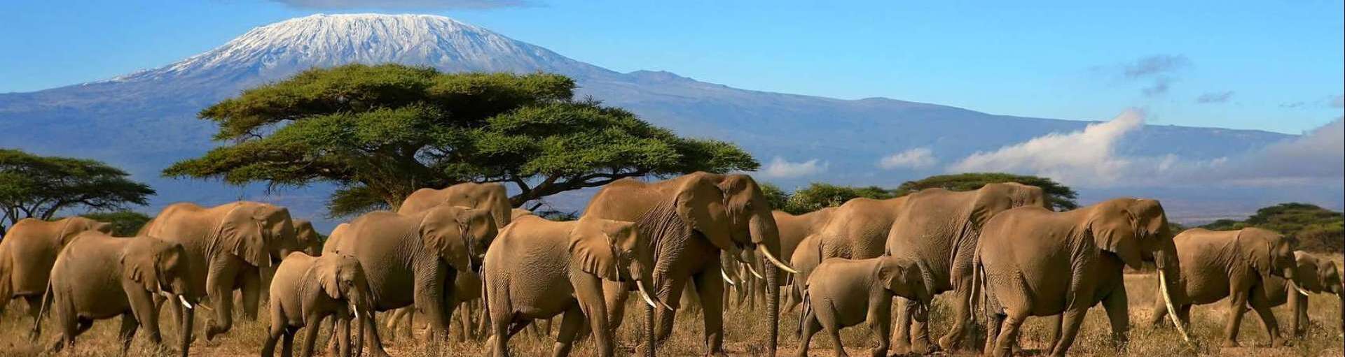 Amboseli National Park