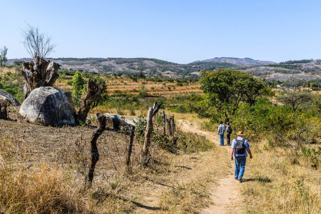 Wilderness Trail