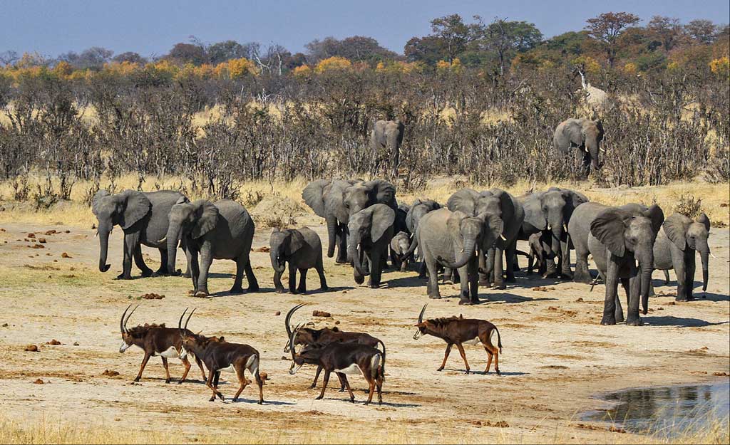 Nyamandhlovu Viewing Platform