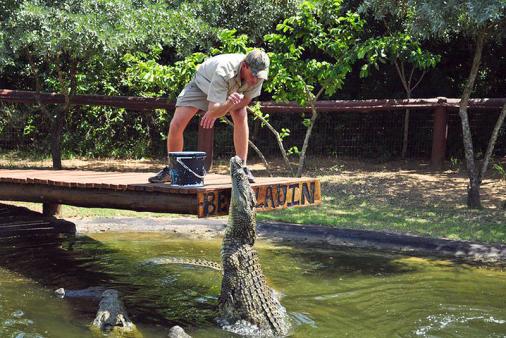 Spend a day at the Reptile Park