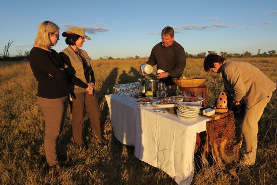 The dusk at the watering hole