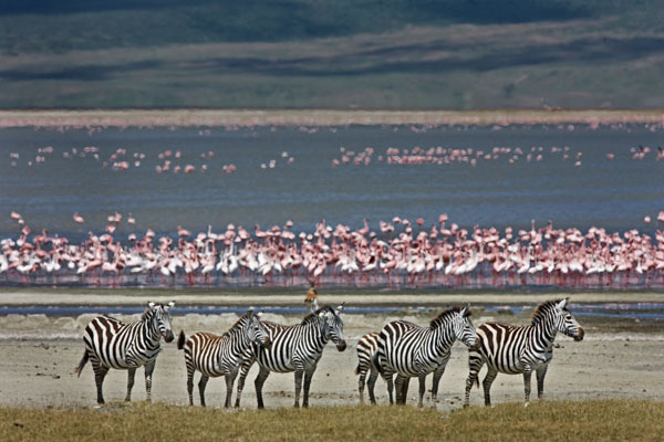 Lake Magadi