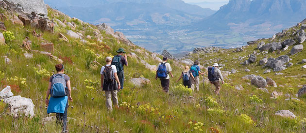 Hiking Trails at Knysna