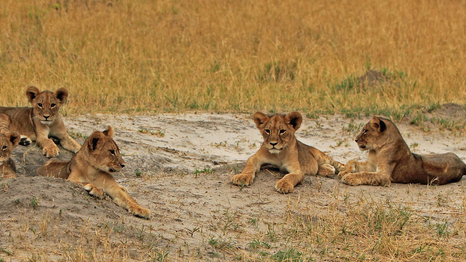 Hwange National Park