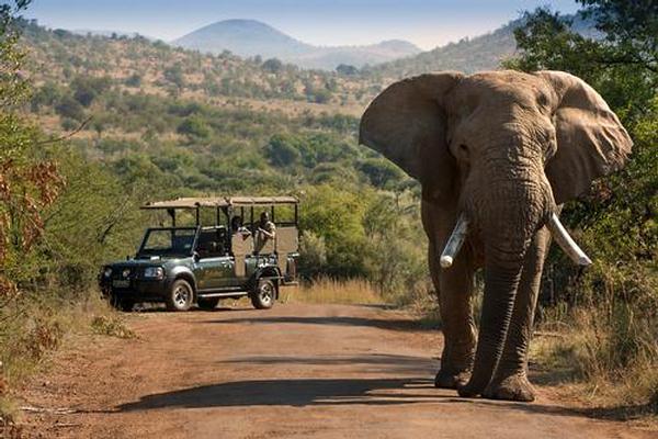 Pilanesberg Game reserve