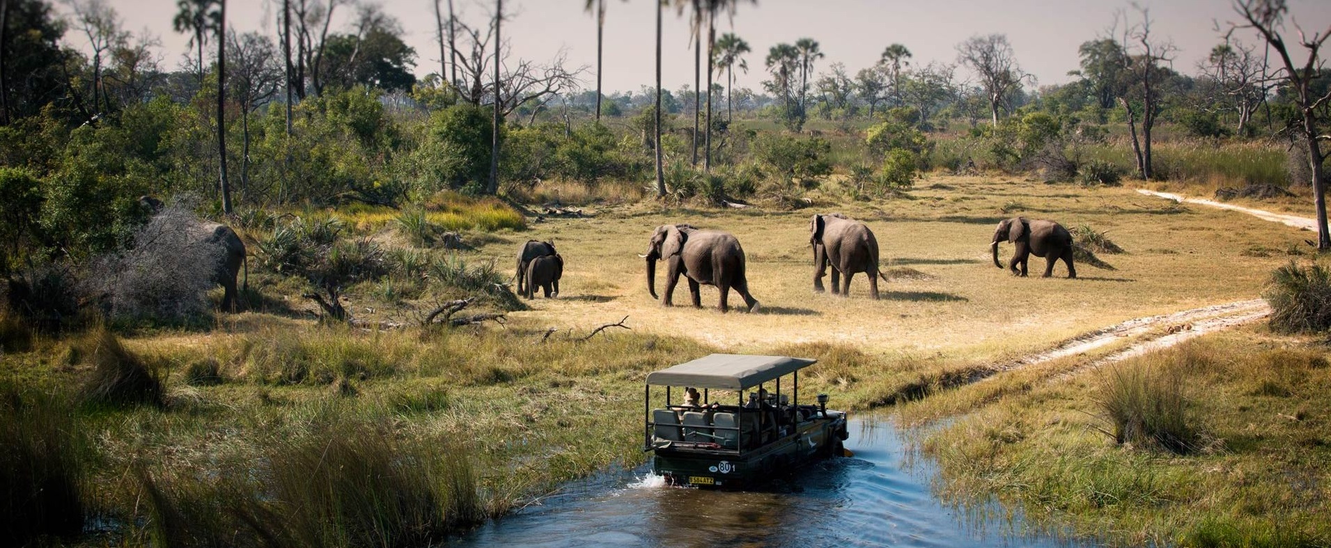 chobe-national-park