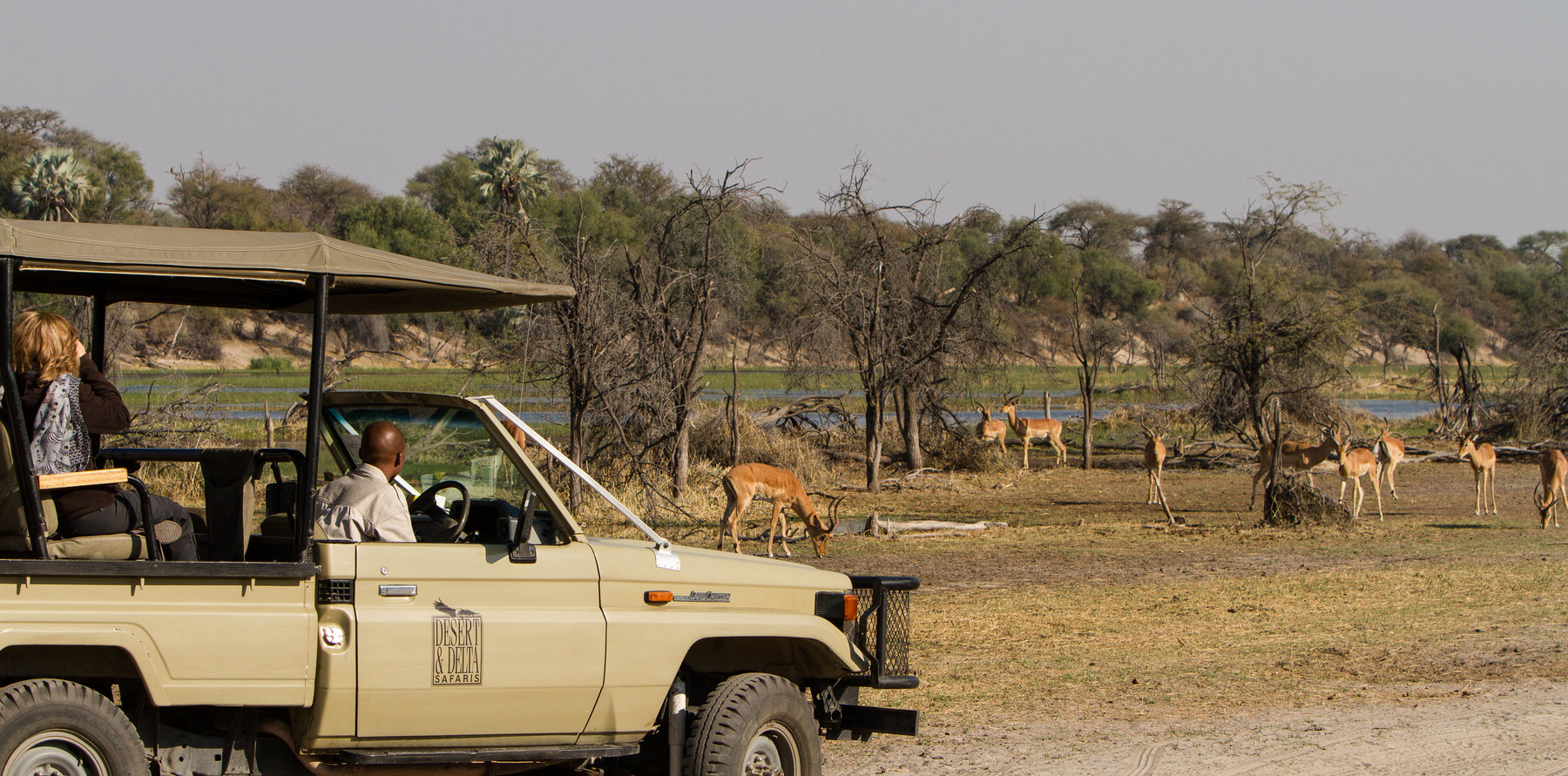 Game Drives