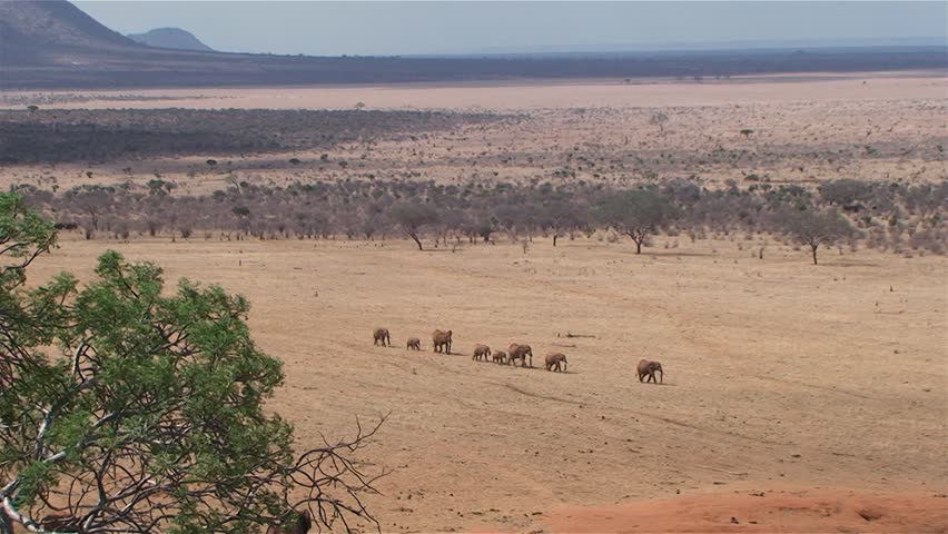 Exploring the savannah of Tsavo East National Park