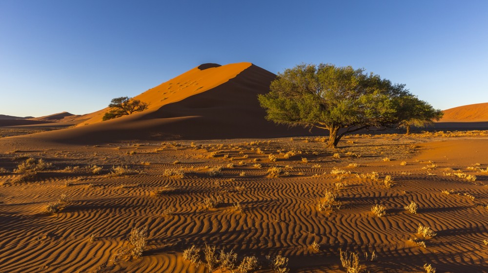 Kgalagadi Transfrontier Park