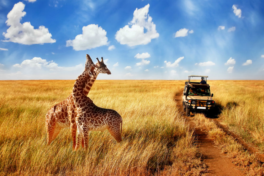 africa tour packages from india
