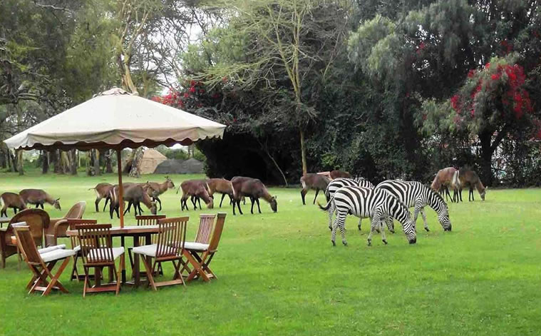 Lake Naivasha Country Club