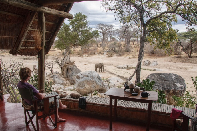 Mwagusi Safari Camp