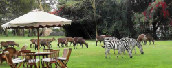 Lake Naivasha Country Club