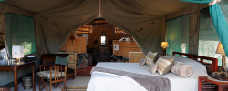 Mwagusi Safari Camp