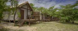 Nkambeni Safari Camp