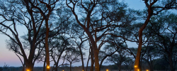 Hwange Safari Lodge 